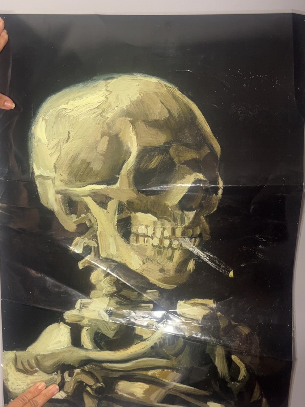 Double-Sided Skeleton Art Poster – Vintage Style – 2-Sided Artwork